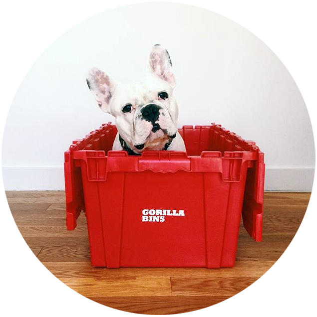 BoxUp: Plastic Moving Boxes, Moving Bins Rental Delivery NYC